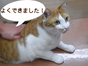 はみがき猫5